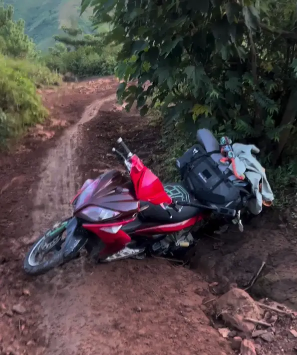 Affe auf Bike Unfall