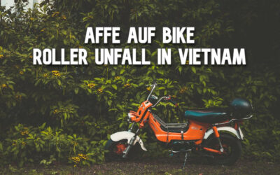 Affe auf Bike Unfall in Vietnam